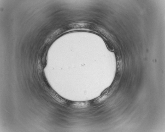 X0000070380381200607072200