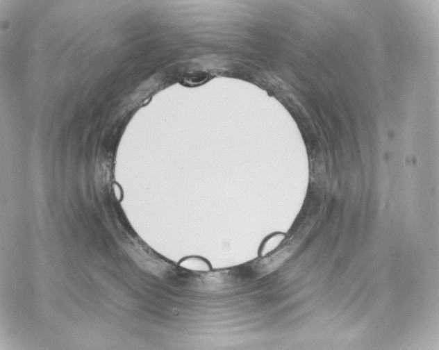 X0000070380382200607072200