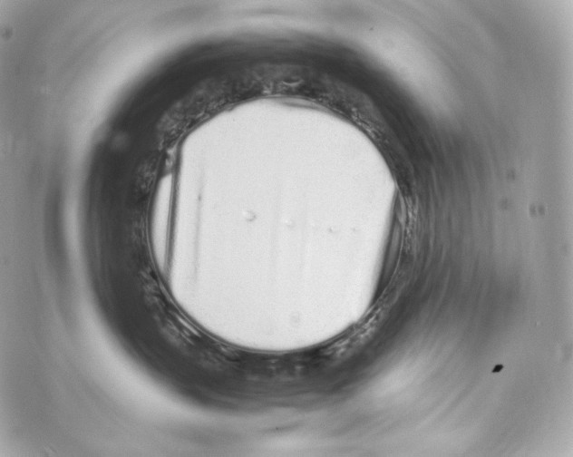 X0000070380383200607072200