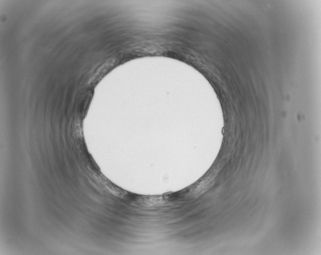 X0000070380384200607072200