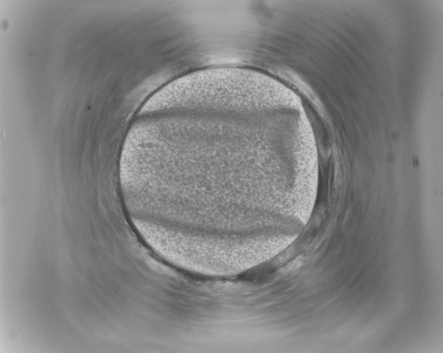 X0000070380385200607072159