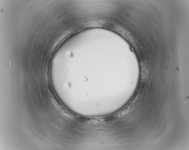 X0000070380386200607072159