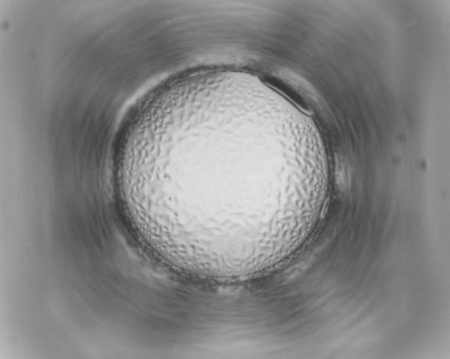 X0000070380388200607072159