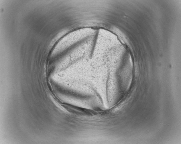 X0000070380389200607072159