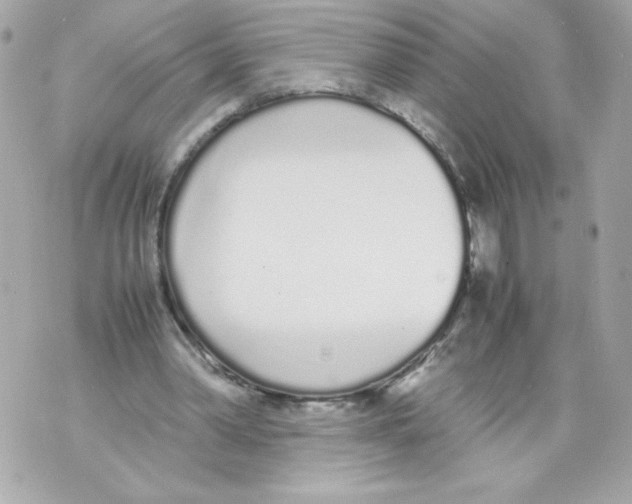 X0000070380390200607072159