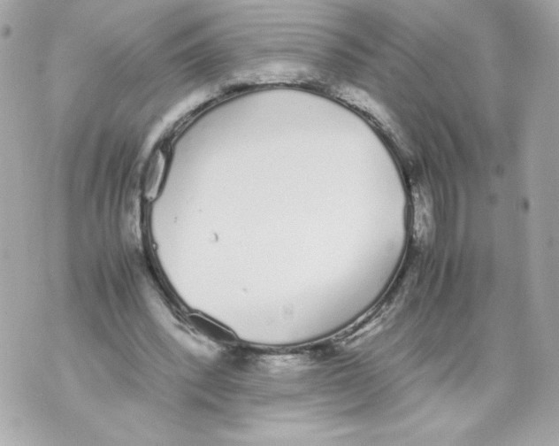 X0000070380392200607072159