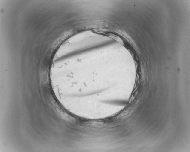 X0000070380393200607072159