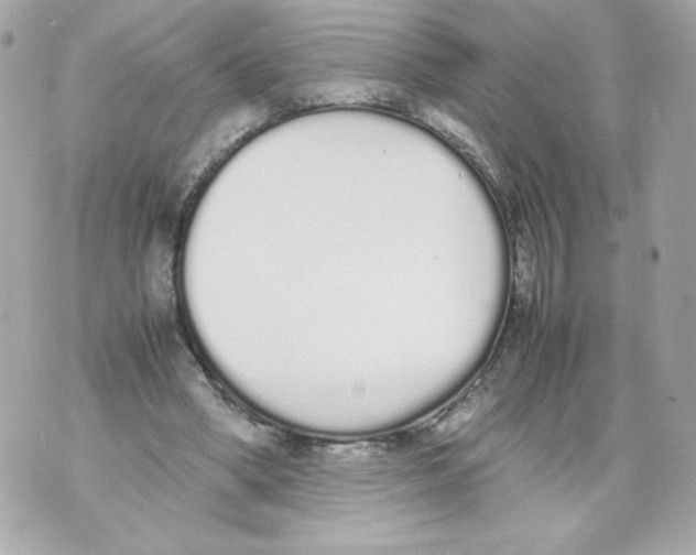 X0000070380394200607072159