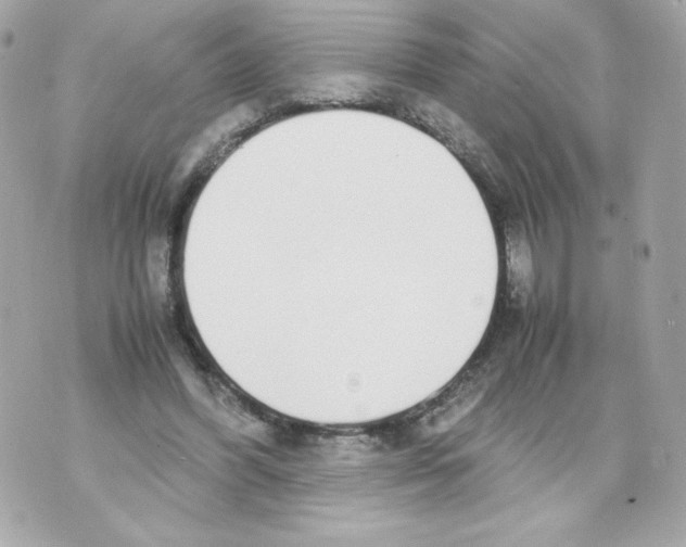 X0000070380396200607072159