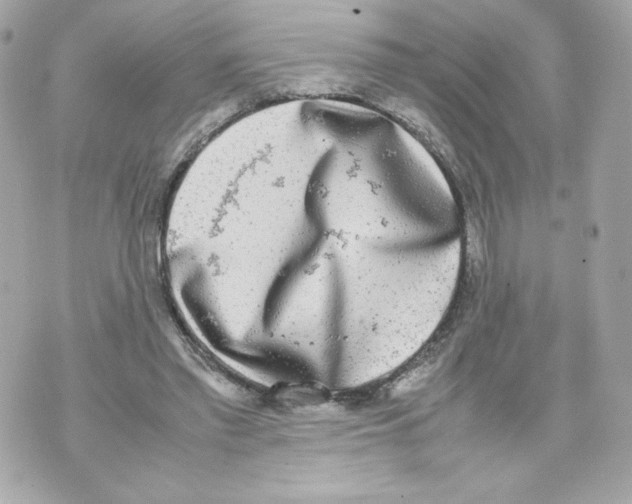 X0000070380397200607072159