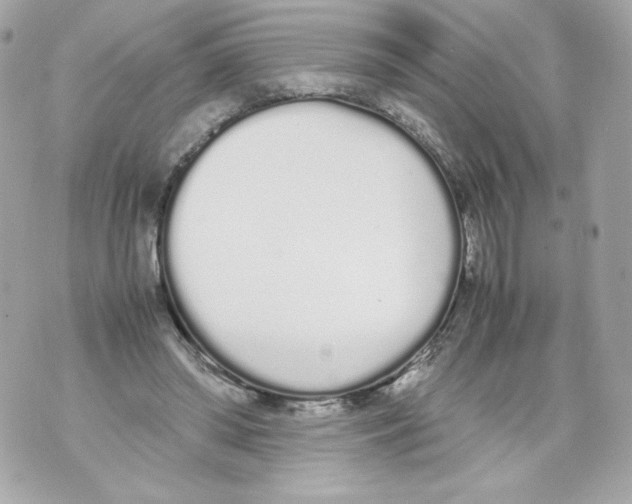 X0000070380398200607072159