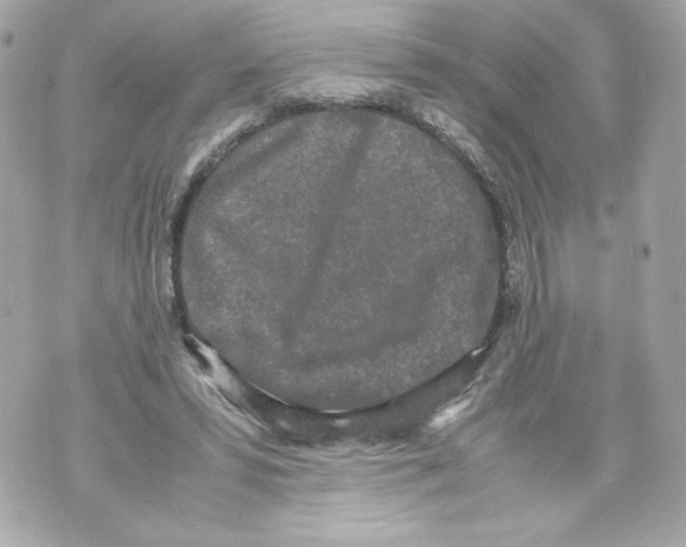 X0000070380399200607072159