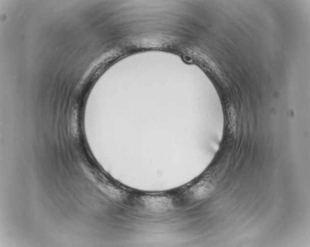 X0000070380400200607072159