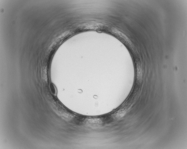 X0000070380403200607072159