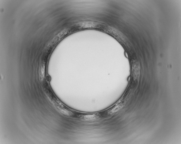 X0000070380406200607072159