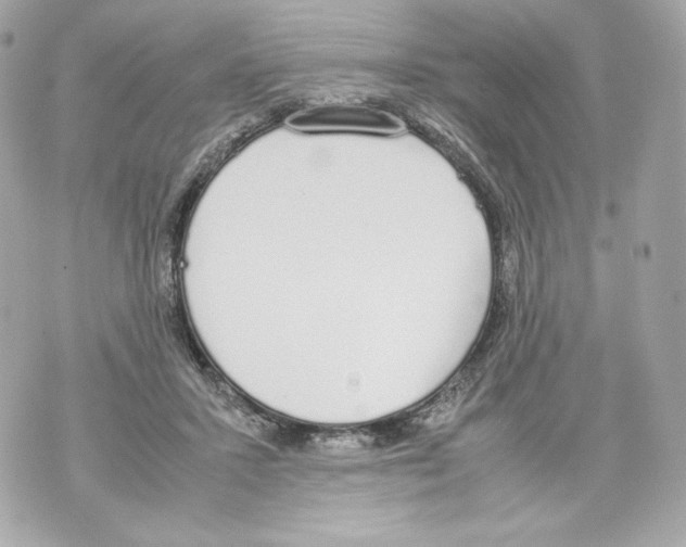 X0000070380407200607072159