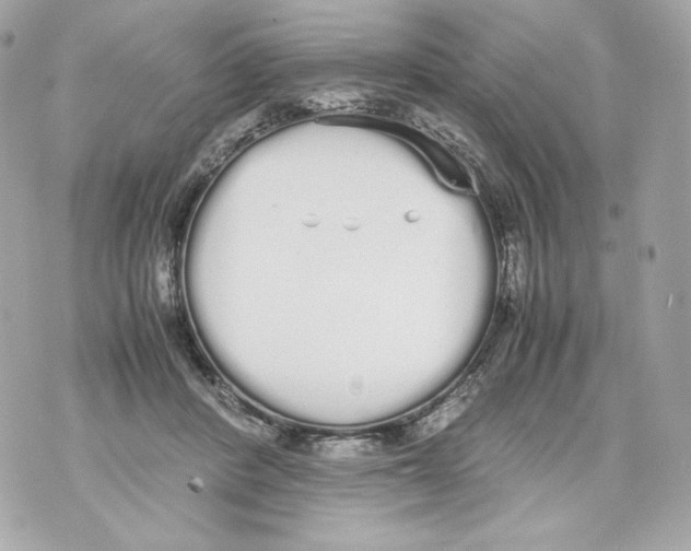 X0000070380408200607072159