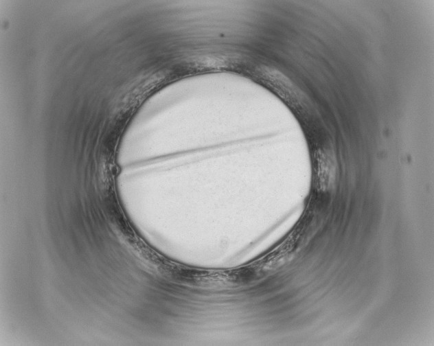 X0000070380410200607072159