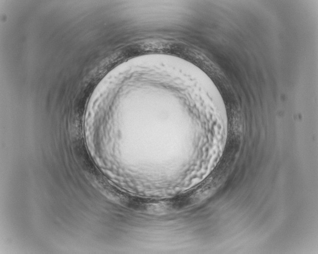 X0000070380411200607072159