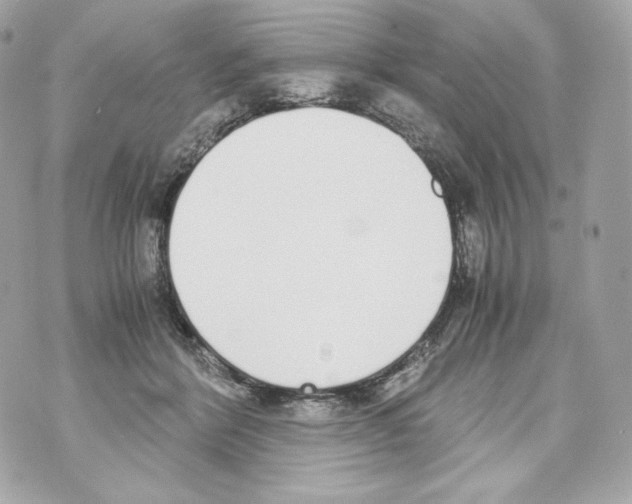 X0000070380412200607072159