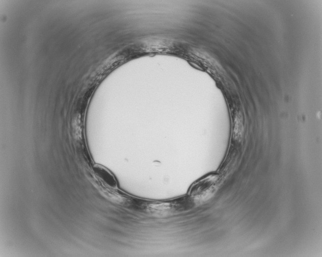 X0000070380413200607072159