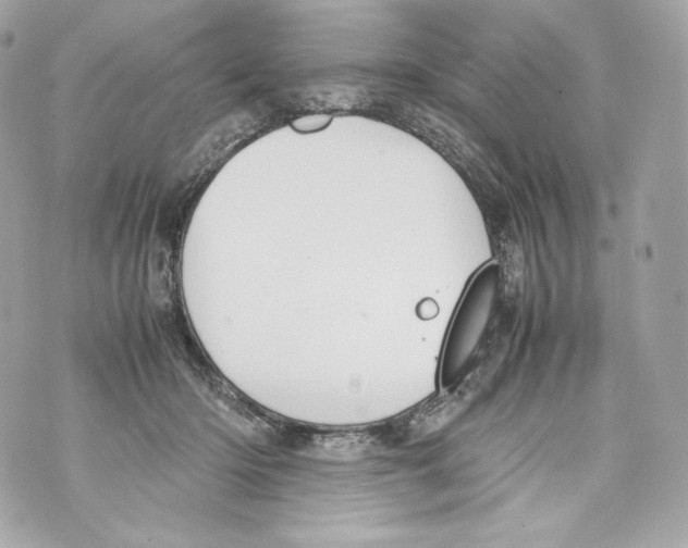 X0000070380414200607072159