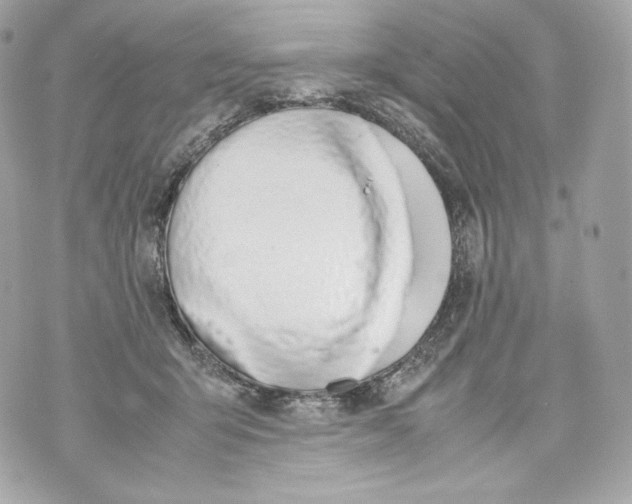 X0000070380415200607072159