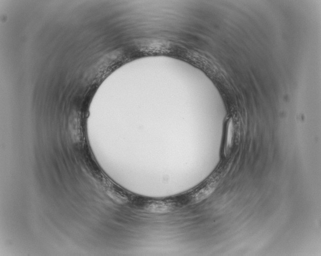 X0000070380416200607072159