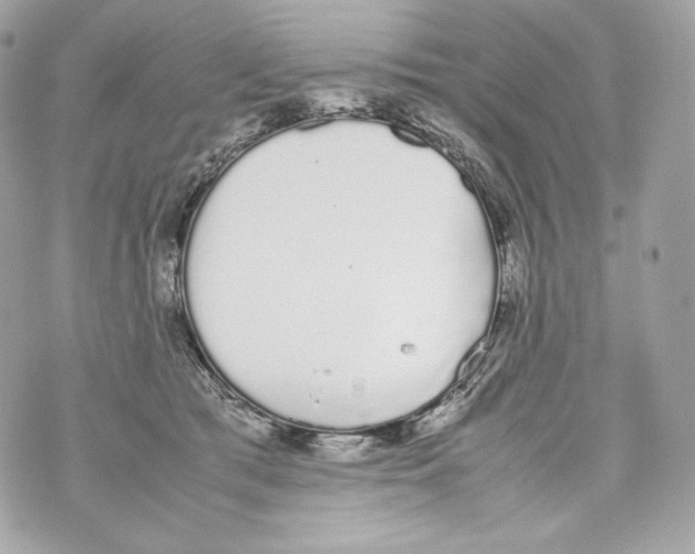 X0000070380417200607072159