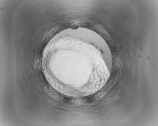 X0000070380419200607072159