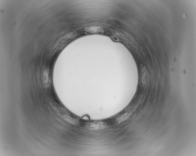 X0000070380420200607072159