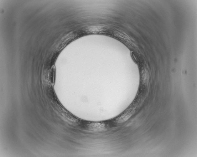 X0000070380421200607072159