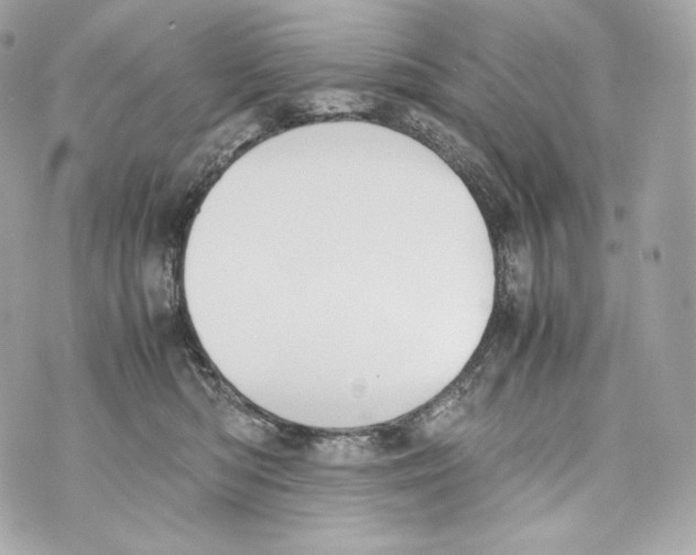 X0000070380422200607072159