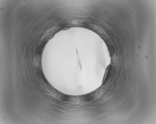 X0000070380423200607072159