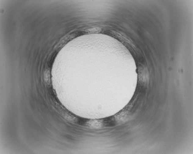 X0000070380425200607072159