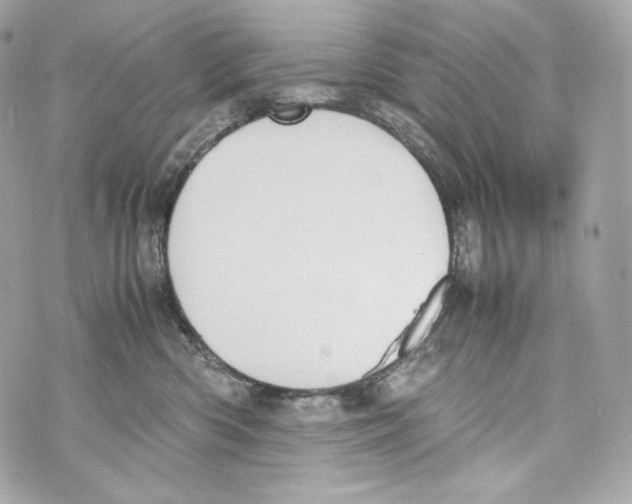 X0000070380426200607072159