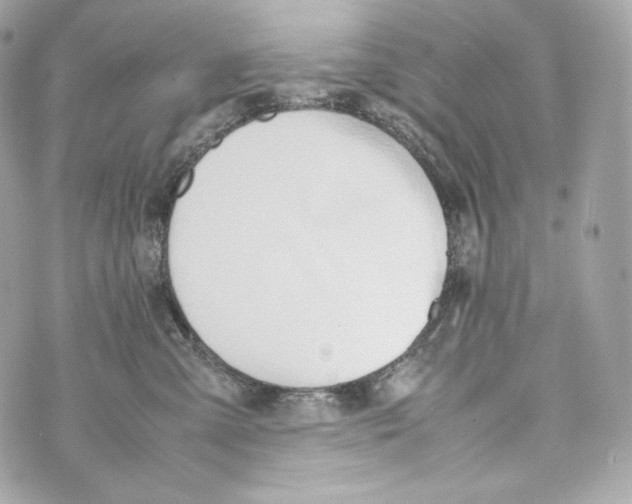 X0000070380427200607072159