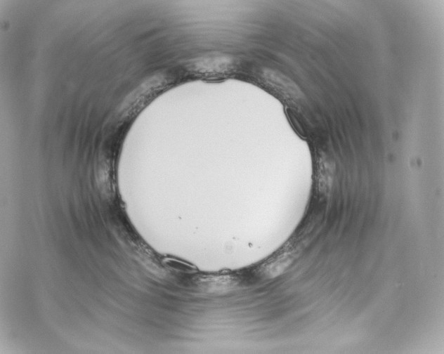 X0000070380428200607072159