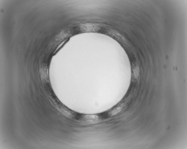 X0000070380429200607072159