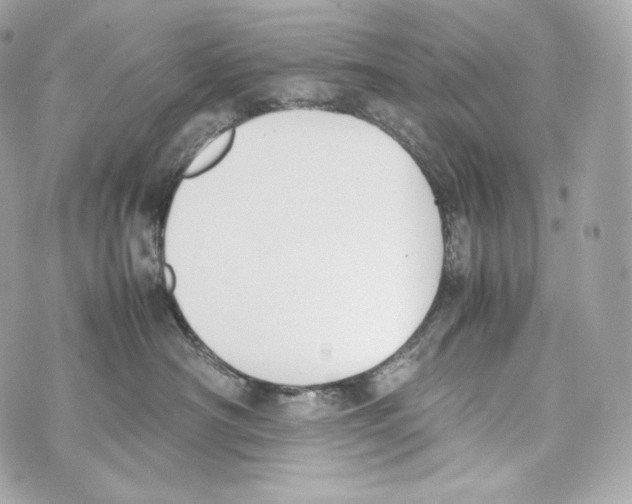 X0000070380430200607072159