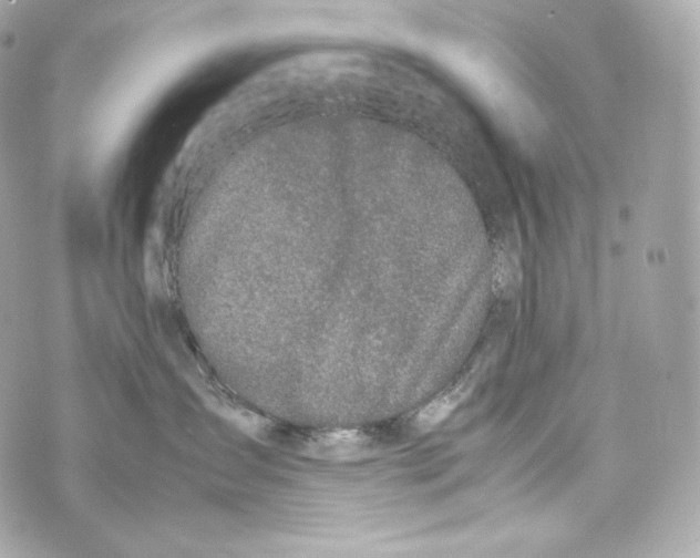 X0000070380431200607072159