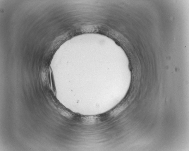 X0000070380432200607072158