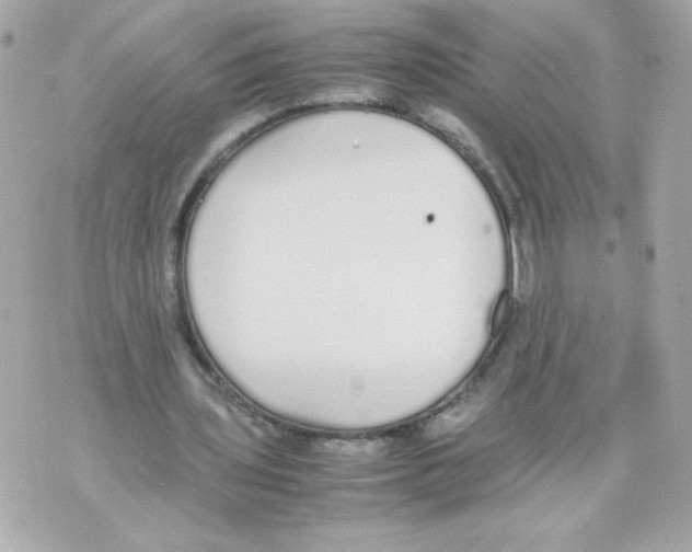 X0000070380435200607072158