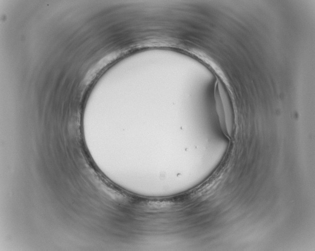 X0000070380437200607072158