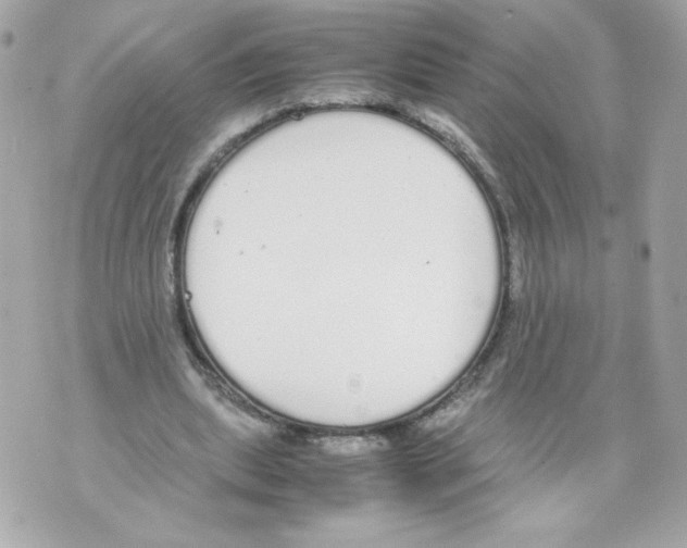 X0000070380439200607072158