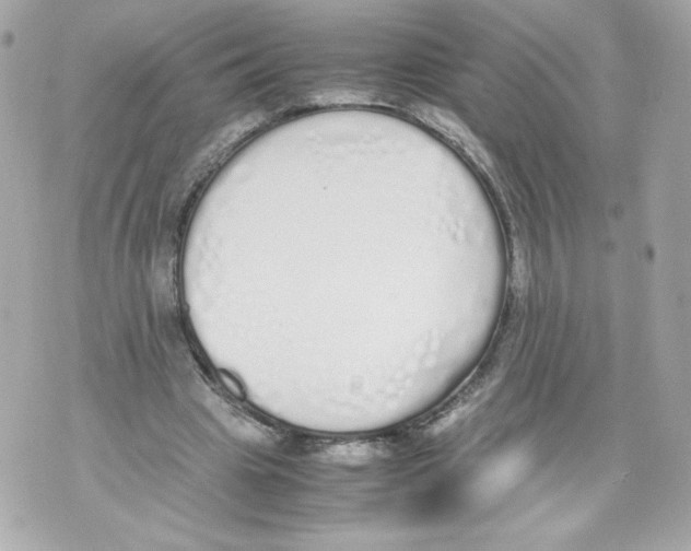 X0000070380441200607072158