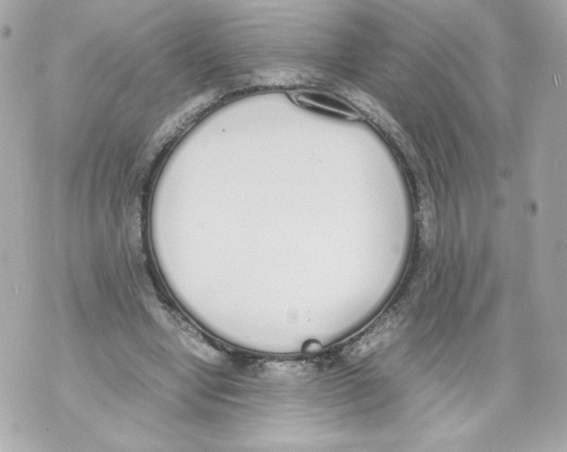 X0000070380442200607072158