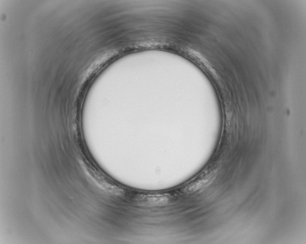 X0000070380443200607072158