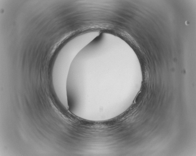 X0000070380444200607072158