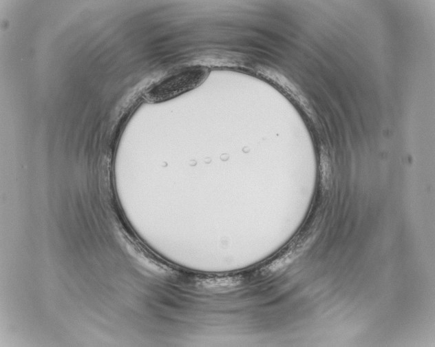 X0000070380445200607072158